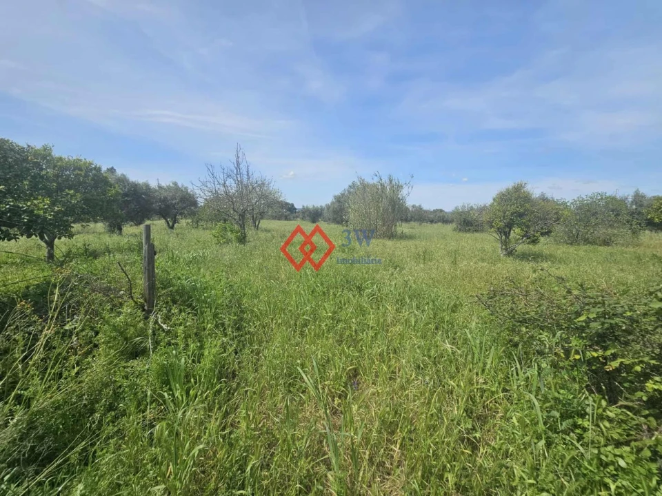 Moradia T4 para Venda em Pego Foto 32