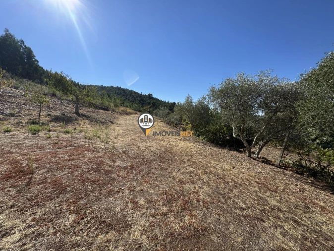 Moradia T3 para Venda em Orvalho Foto 28