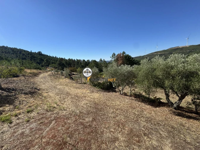 Moradia T3 para Venda em Orvalho Foto 32