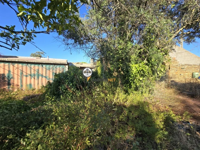 Terreno para Venda em Cebolais de Cima e Retaxo Foto 17