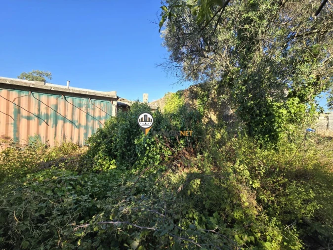 Terreno para Venda em Cebolais de Cima e Retaxo Foto 12
