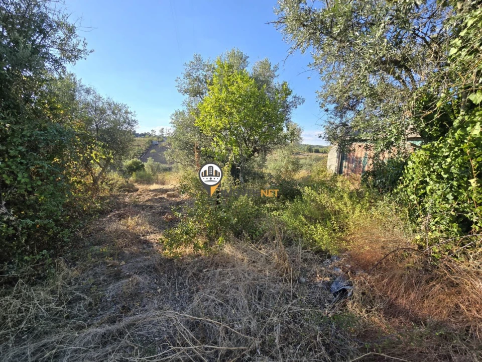 Terreno para Venda em Cebolais de Cima e Retaxo Foto 16