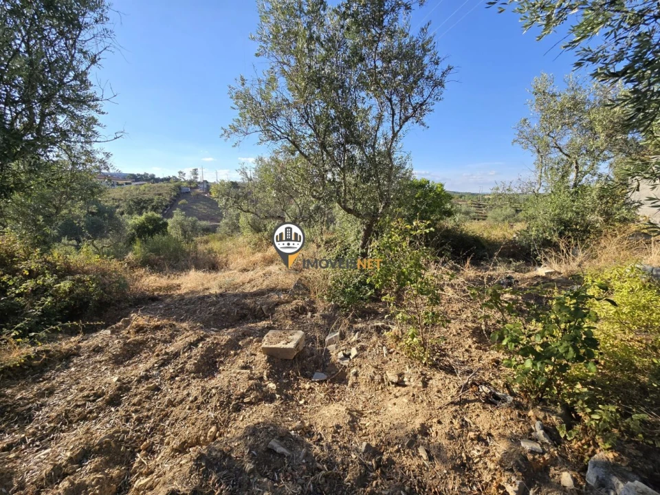 Terreno para Venda em Cebolais de Cima e Retaxo Foto 9