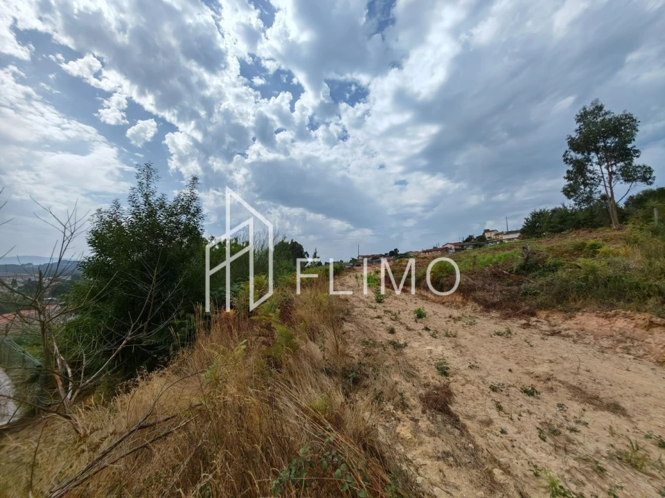 Terreno para Venda em Vila de Cucujães Foto 5