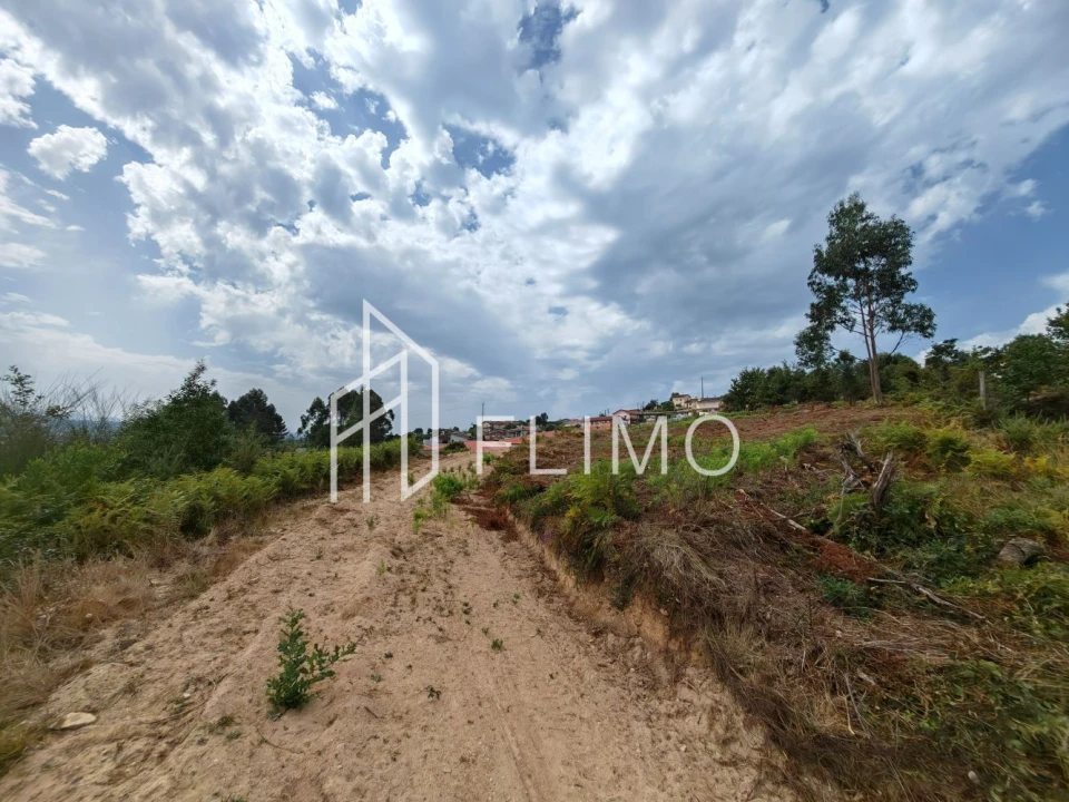 Terreno para Venda em Vila de Cucujães Foto 6