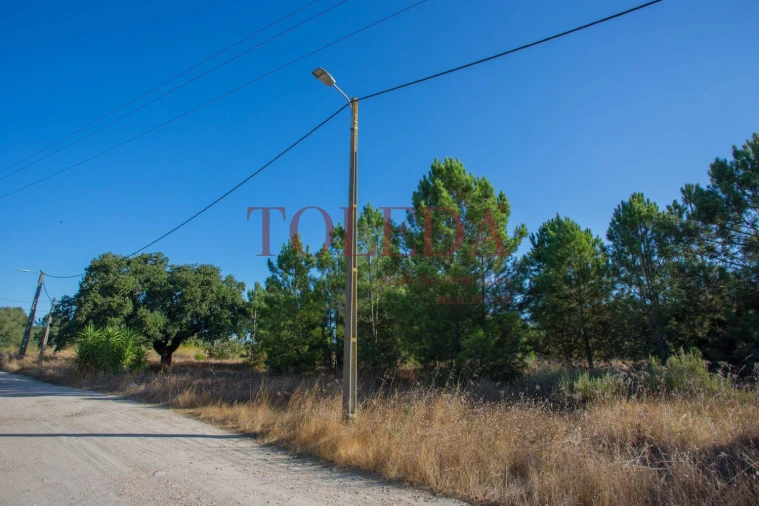 Terreno para Venda em Palmela Foto 10