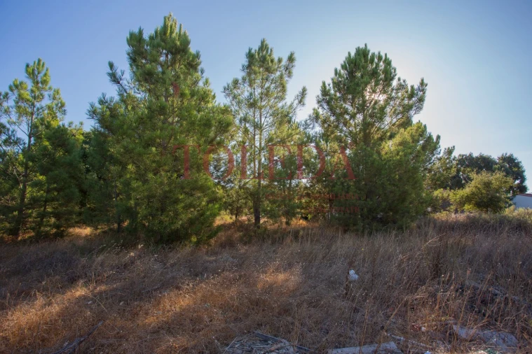 Terreno para Venda em Palmela Foto 12