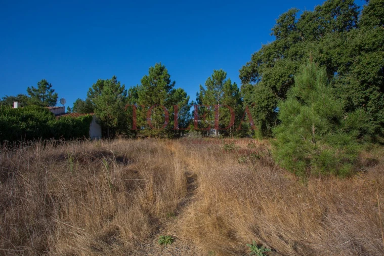 Terreno para Venda em Palmela Foto 8