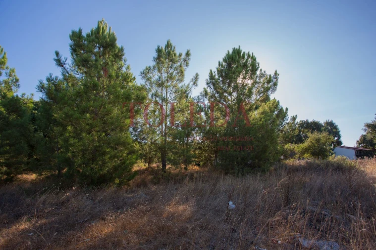 Terreno para Venda em Palmela Foto 13