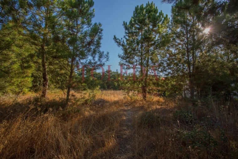 Terreno para Venda em Palmela Foto 14