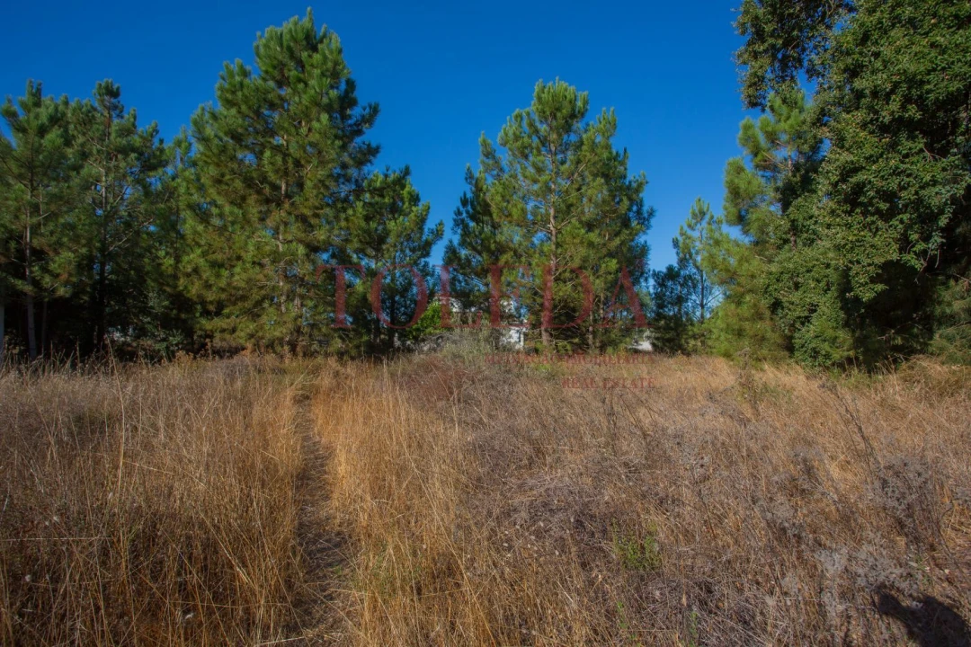 Terreno para Venda em Palmela Foto 9