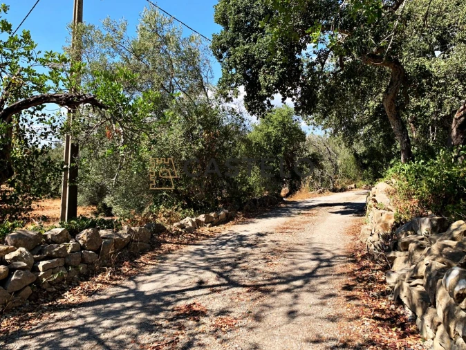 Moradia T3 para Venda em Santa Barbara de Nexe Foto 7