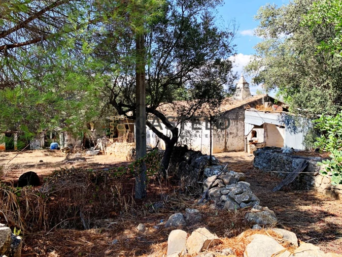 Moradia T3 para Venda em Santa Barbara de Nexe Foto 12