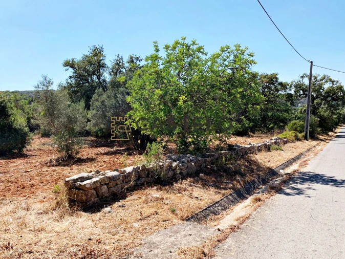 Moradia T3 para Venda em Santa Barbara de Nexe Foto 3