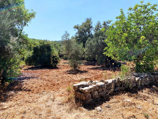 Moradia T3 para Venda em Santa Barbara de Nexe Foto 4