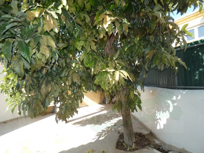 Moradia T2 para Venda em Queluz e Belas Foto 28