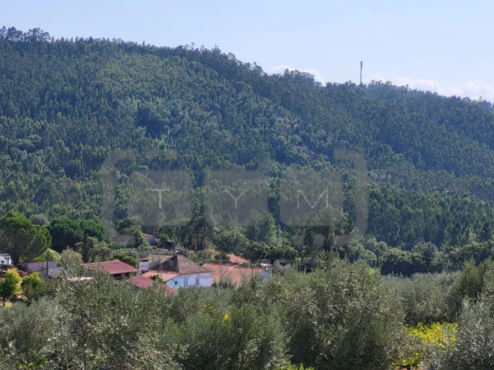 Moradia T3 para Venda em Olalhas Foto 12