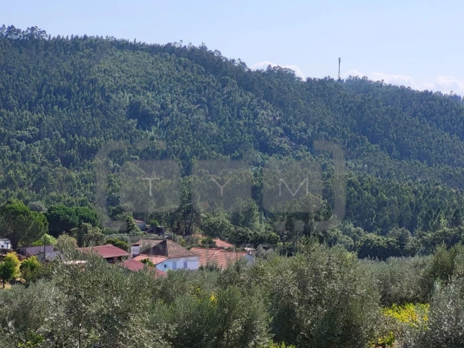 Moradia T3 para Venda em Olalhas Foto 12