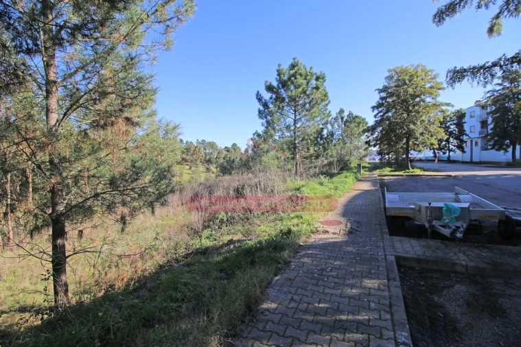 Terreno para Venda em Abrantes (São Vicente e São João) e Alferrarede Foto 11