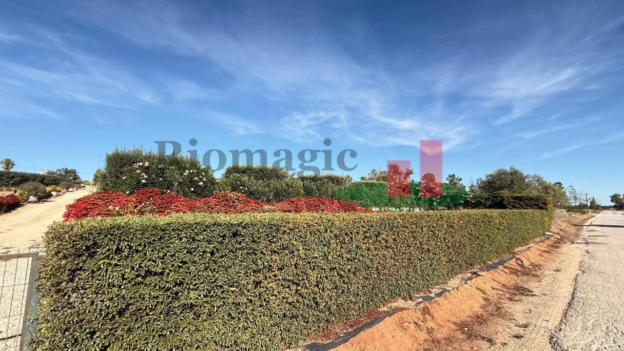 Terreno para Venda em Azambujeira e Malaqueijo Foto 3