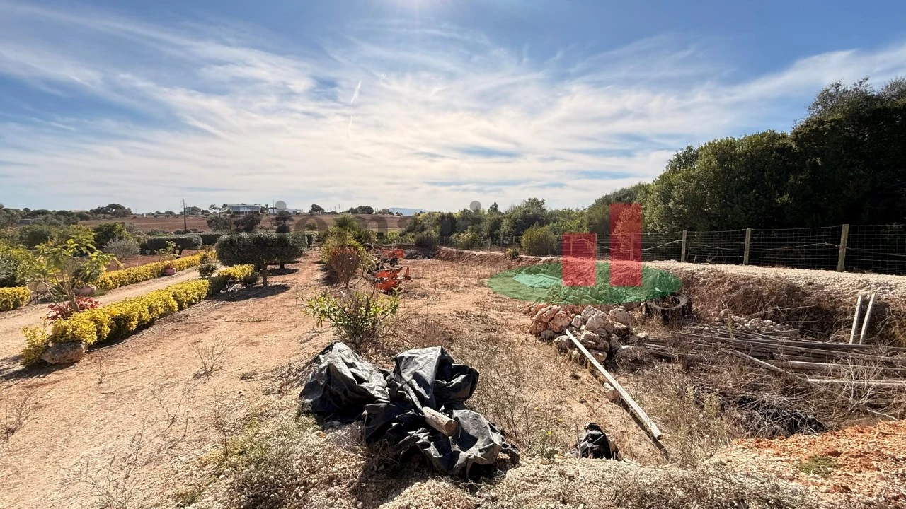 Terreno para Venda em Azambujeira e Malaqueijo Foto 12
