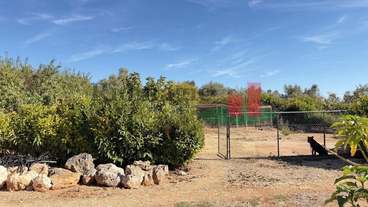 Terreno para Venda em Azambujeira e Malaqueijo Foto 13