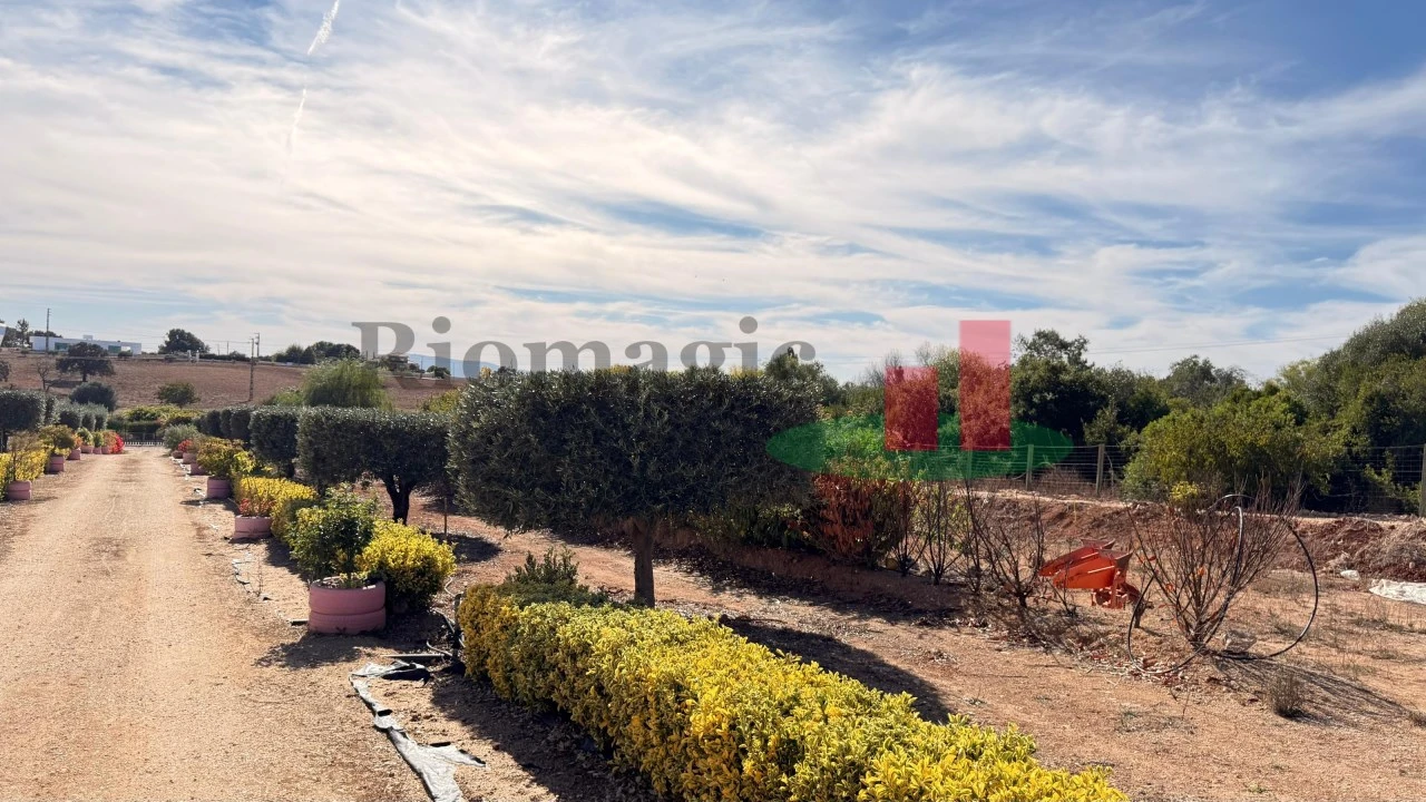 Terreno para Venda em Azambujeira e Malaqueijo Foto 17