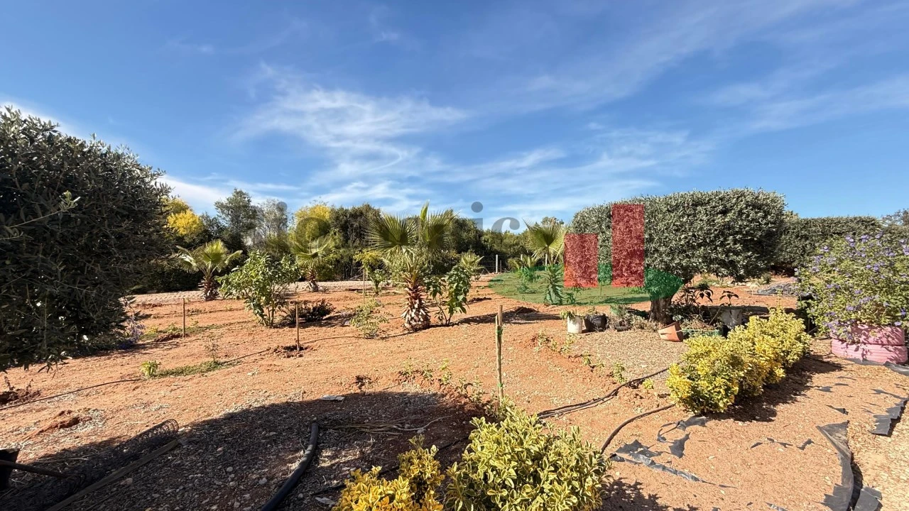 Terreno para Venda em Azambujeira e Malaqueijo Foto 23