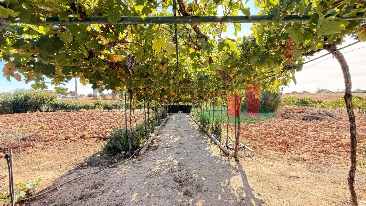 Terreno para Venda em Azambujeira e Malaqueijo Foto 37