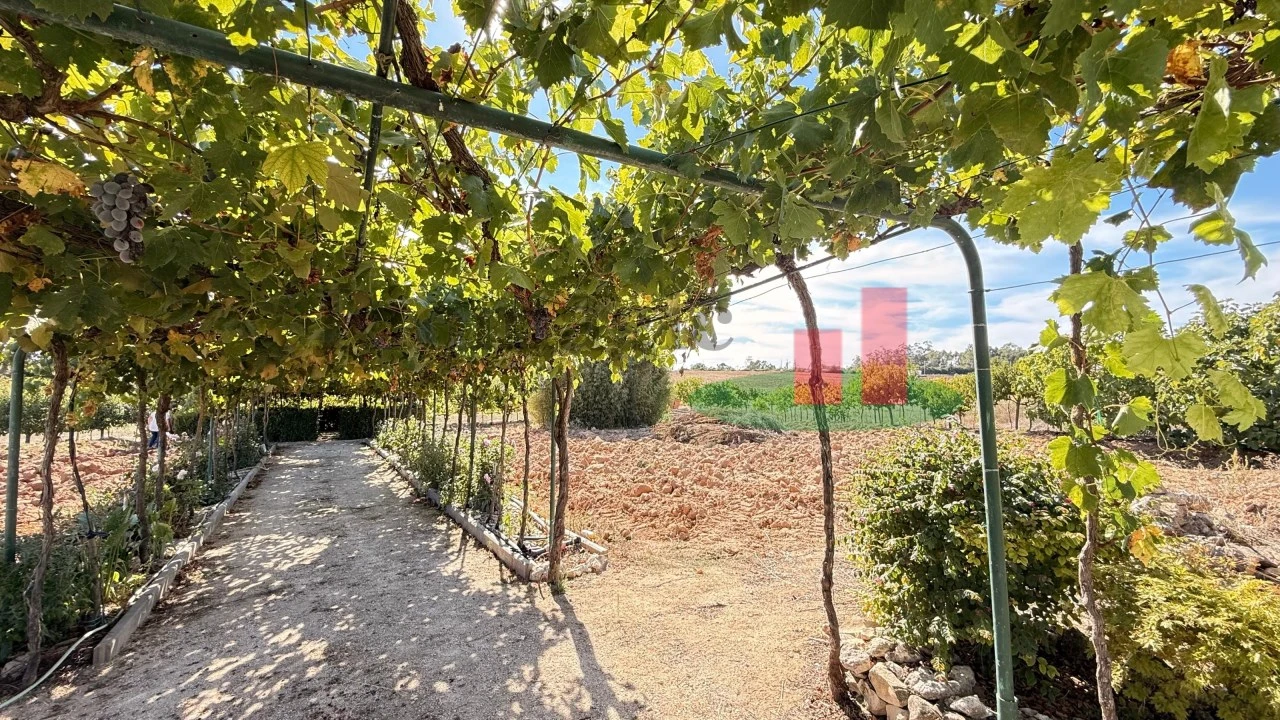Terreno para Venda em Azambujeira e Malaqueijo Foto 39
