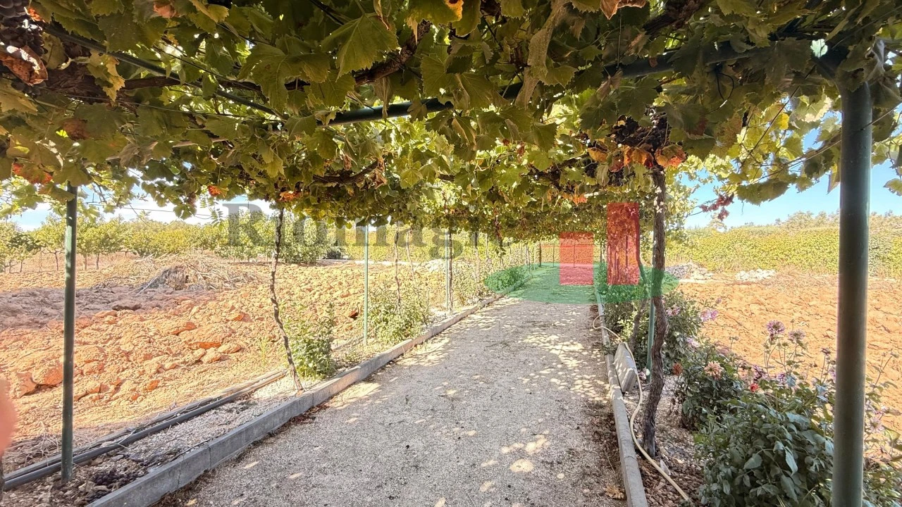 Terreno para Venda em Azambujeira e Malaqueijo Foto 40