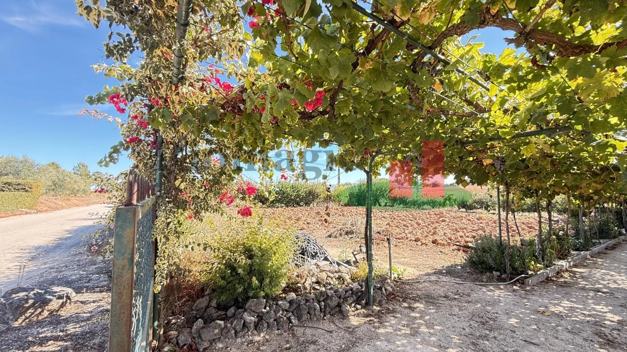 Terreno para Venda em Azambujeira e Malaqueijo Foto 41