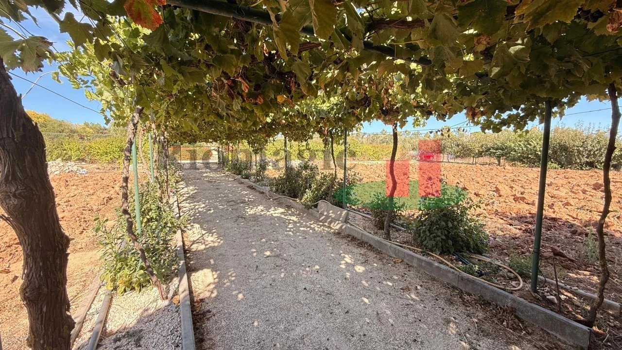 Terreno para Venda em Azambujeira e Malaqueijo Foto 52