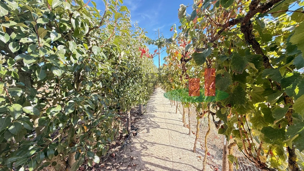 Terreno para Venda em Azambujeira e Malaqueijo Foto 56
