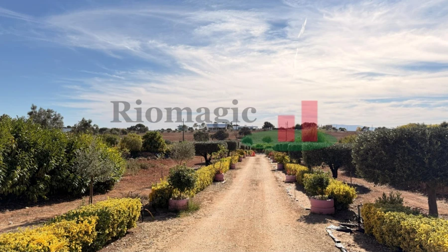 Terreno para Venda em Azambujeira e Malaqueijo Foto 16