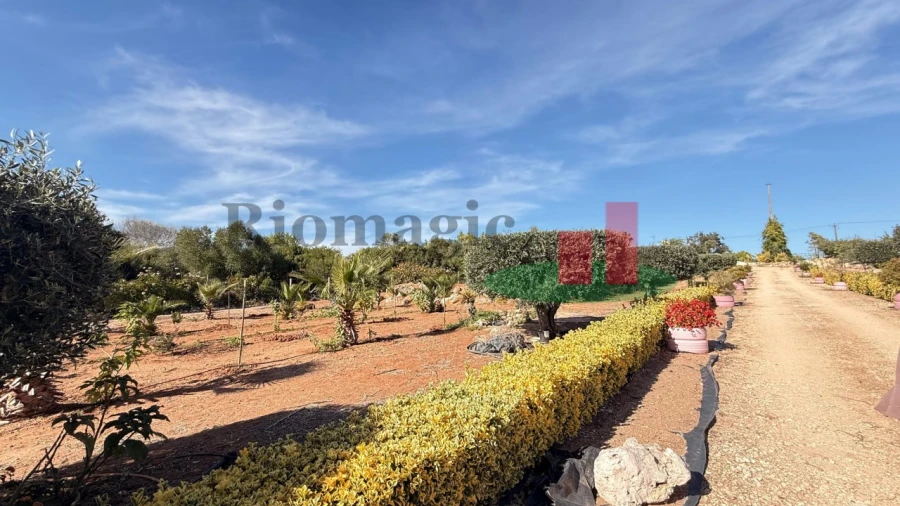 Terreno para Venda em Azambujeira e Malaqueijo Foto 18