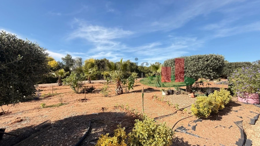 Terreno para Venda em Azambujeira e Malaqueijo Foto 23