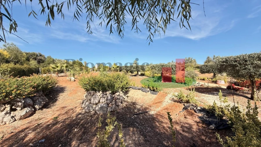 Terreno para Venda em Azambujeira e Malaqueijo Foto 27