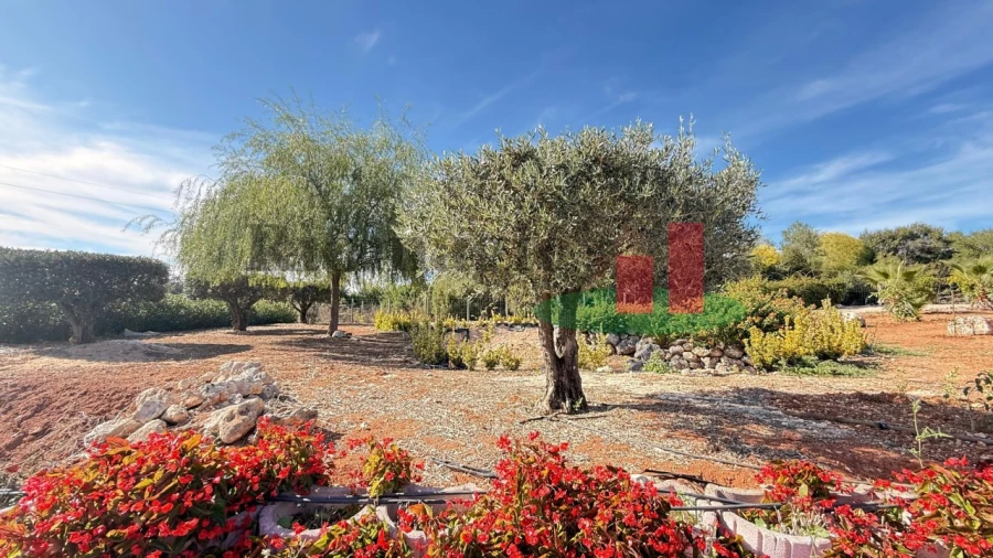 Terreno para Venda em Azambujeira e Malaqueijo Foto 30