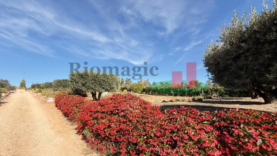 Terreno para Venda em Azambujeira e Malaqueijo Foto 32