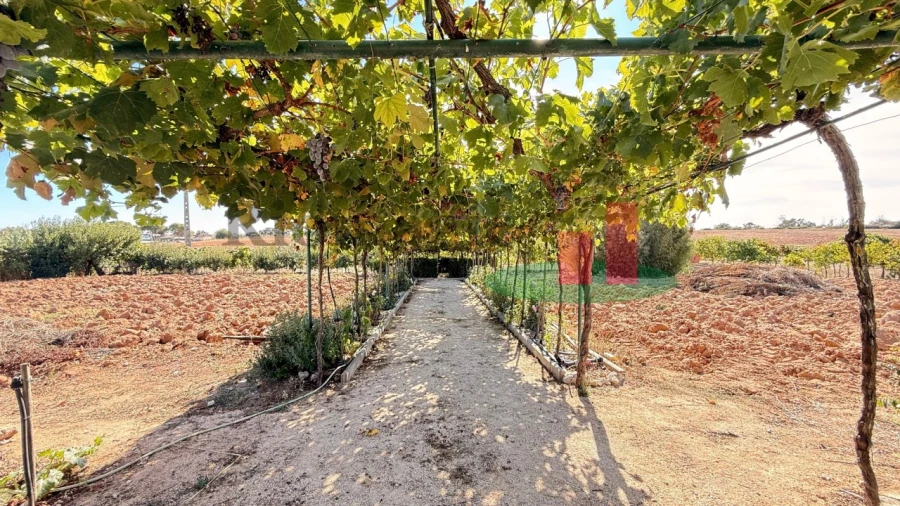Terreno para Venda em Azambujeira e Malaqueijo Foto 37