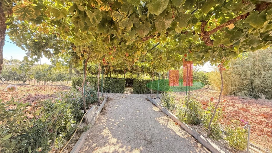 Terreno para Venda em Azambujeira e Malaqueijo Foto 38