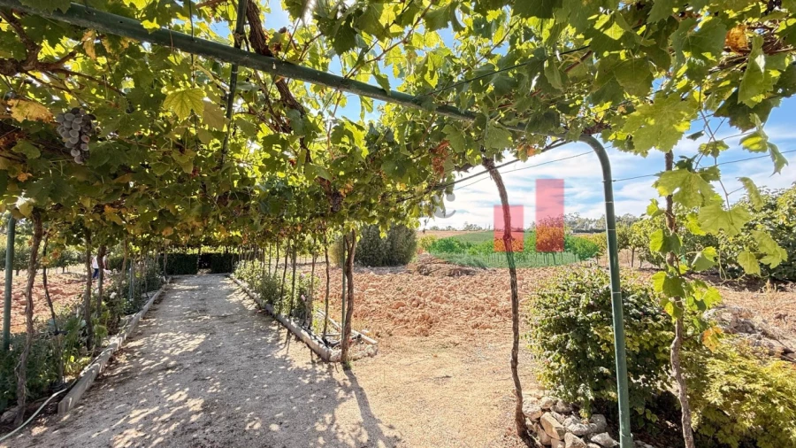 Terreno para Venda em Azambujeira e Malaqueijo Foto 39