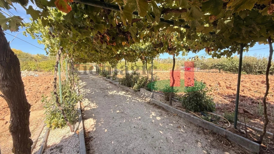 Terreno para Venda em Azambujeira e Malaqueijo Foto 52