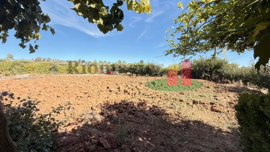 Terreno para Venda em Azambujeira e Malaqueijo Foto 53