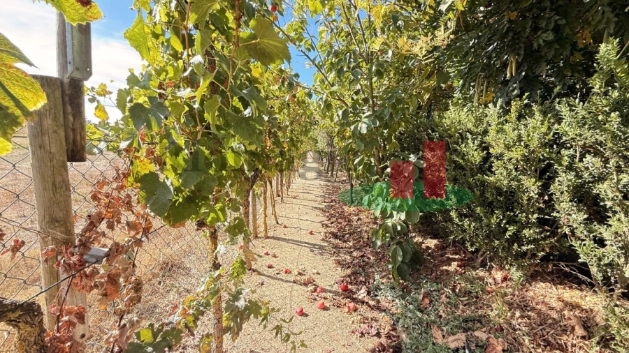 Terreno para Venda em Azambujeira e Malaqueijo Foto 57