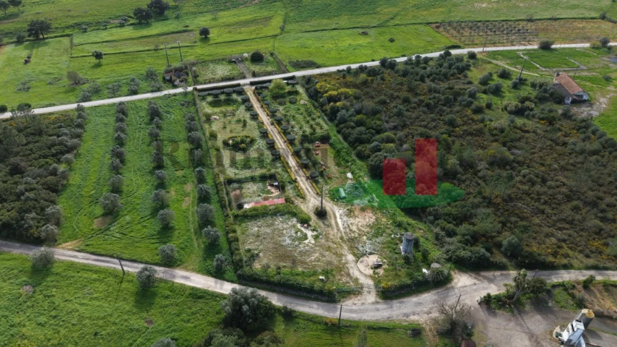 Terreno Agricola ou Rústico para Venda em Azambujeira e Malaqueijo Foto 64