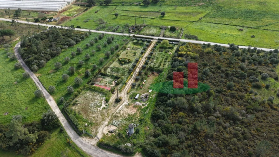 Terreno Agricola ou Rústico para Venda em Azambujeira e Malaqueijo Foto 65