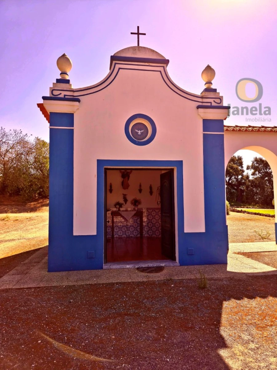 Quinta T7 para Venda em Ferreira do Alentejo e Canhestros Foto 7