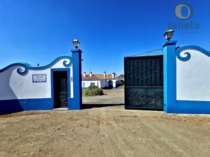 Quinta T7 para Venda em Ferreira do Alentejo e Canhestros Foto 5